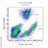 The flow cytometry result of Whole blood sample