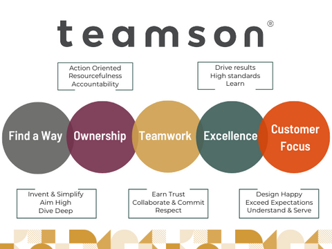 Teamson's core values and how they are put into action