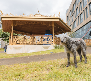 Image for Inaugural Event at TU Dublin’s Grangegorman Campus Celebrates the Unveiling of THE GOLDEN BANDSTAND – Sculpture