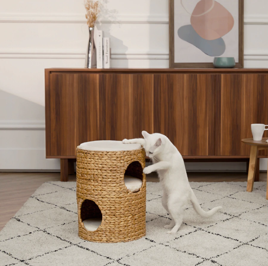 A white cat is playing with thier cat bed set up in the living room of the house.